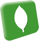 MongoDB